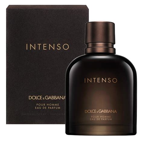 dolce gabbana intenso homme avis|intenso dolce and gabbana review.